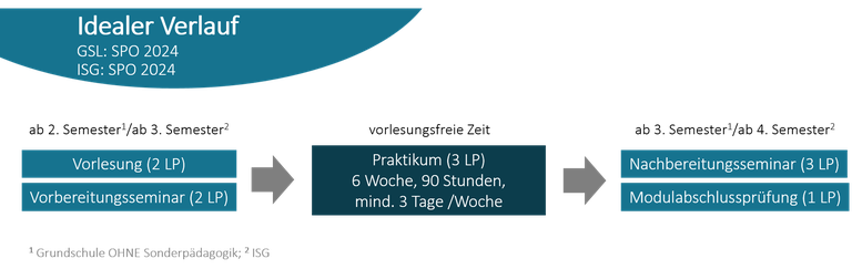 Bild1_Übersicht Modul BA-BW 1_neue SPO2024.png