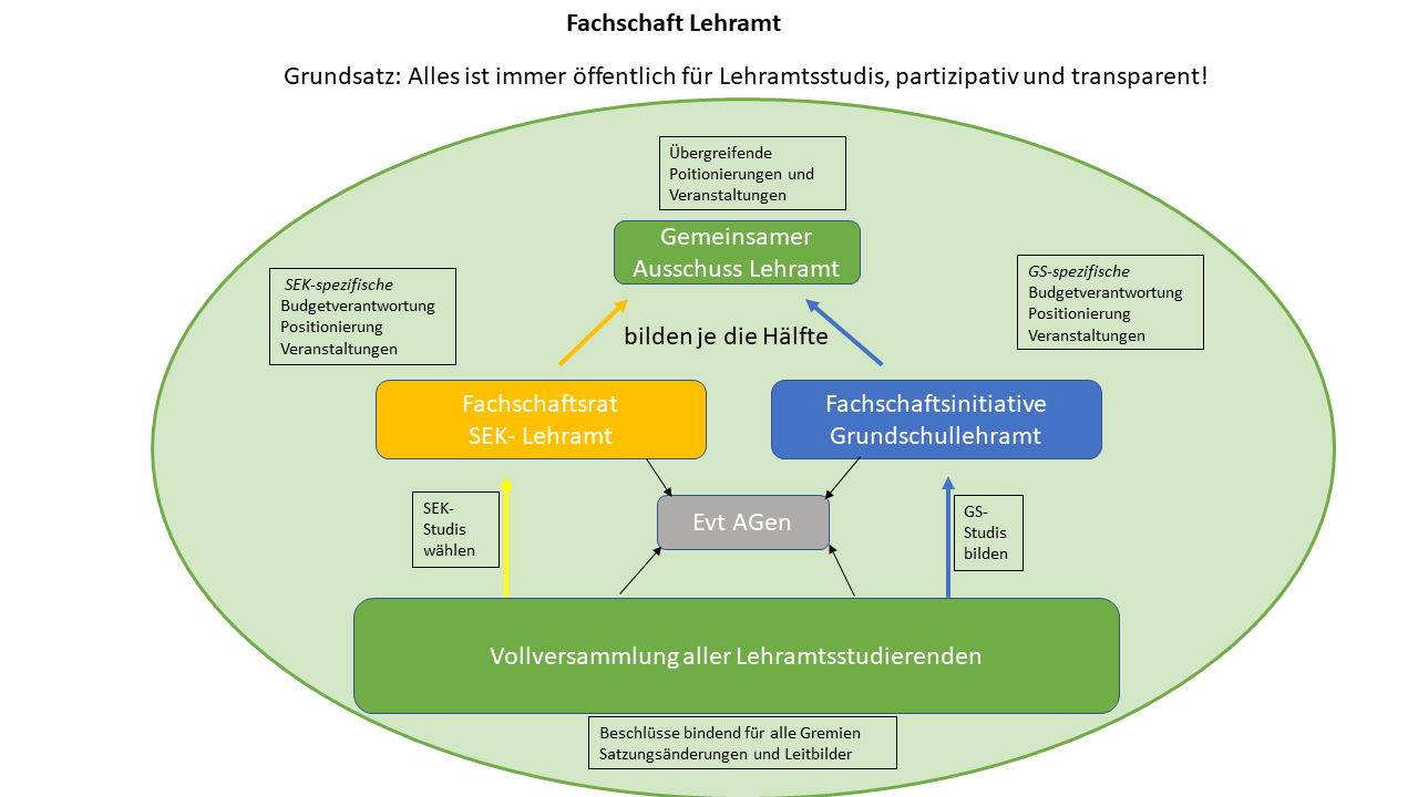 Struktur_Lehramtsfachschaft.png