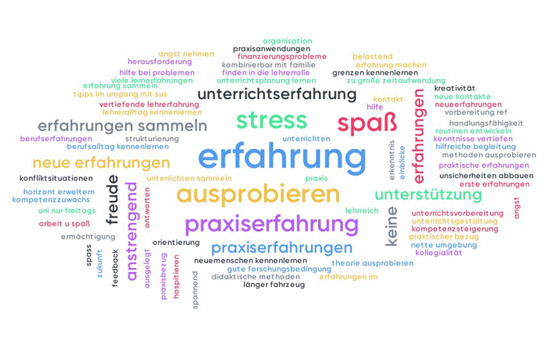 Grafik_Schrift_AuswertungBefragung